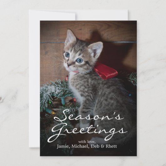 Carte Cute Kitten (Devant)