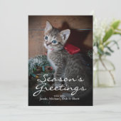 Carte Cute Kitten (Debout devant)