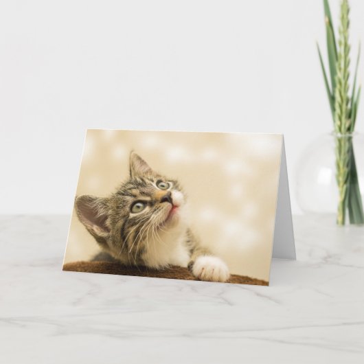 Carte Cute Kitten avec une paille étirée (Devant)