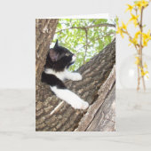 Carte Cute Kitten Pense À Vous (Fleur jaune)