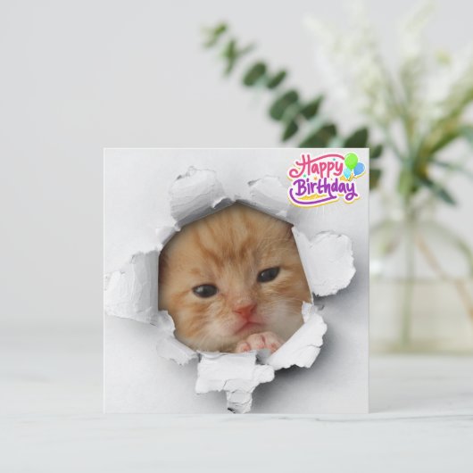 Carte Cute kitty (Debout devant)