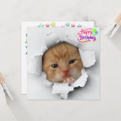 Carte Cute kitty (Devant/Arrière en situation)