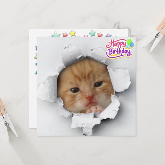 Carte Cute kitty (Devant/Arrière en situation)