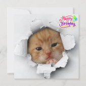 Carte Cute kitty (Devant)