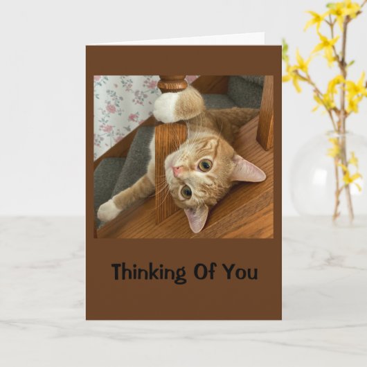 Carte Cute Kitty Pense À Toi (Fleur jaune)