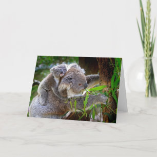 Carte Cute Koalas