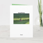 Carte Cute lapin (Dos)