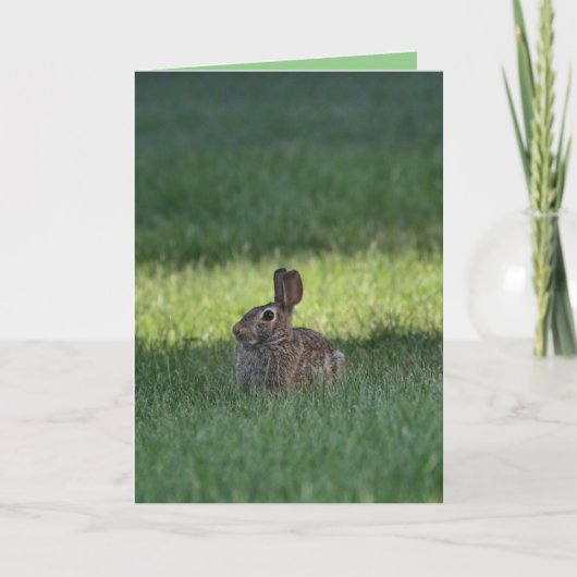 Carte Cute lapin (Devant)