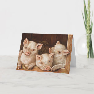 Carte Cute little piglets in a barn at the farm
