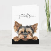 Carte Cute Peeking Yorkie Script Get Well Soon (Devant)