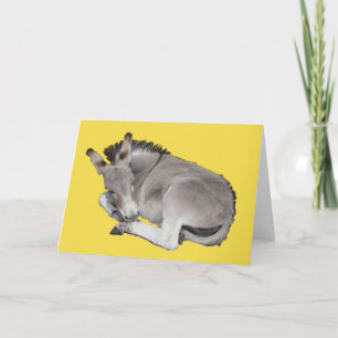Carte Cute Petit Foin D'Âne Gris