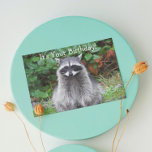 Carte Cute Posing Raccoon Funny Wildlife Anniversaire<br><div class="desc">Carte d'anniversaire à thème nature et drôle pour tout ce qui présente la photo d'un joli Raccoon posant ainsi qu'un accueil d'anniversaire humoristique à l'intérieur. Sélectionnez une carte de style mat ou brillant.</div>