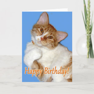 Carte Cute Pot Chat - Anniversaire Général