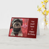 CARTE CUTE PUP ON ***CARTE D'ANNIVERSAIRE DE L'AMI**** C (Fleur jaune)