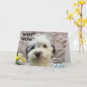 CARTE CUTE PUP SOUHAITE UN "JOLI ANNIVERSAIRE" (Fleur jaune)