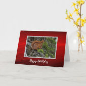 Carte Cute Red Squirrel Pine Photo Anniversaire (Fleur jaune)