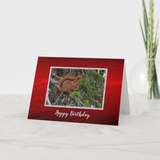 Carte Cute Red Squirrel Pine Photo Anniversaire (Devant)