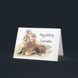 Carte Cute Seals Grandmother Birthday Watercolor Animals<br><div class="desc">Group of curious seals sitting on the rocks wishing you a happy birthday Grandmother,  sealed with kiss</div>
