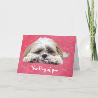 Carte Cute Shih Tzu Puppy : Pense à toi