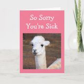Carte Cute Sweet Llama Get Well Card (Devant)