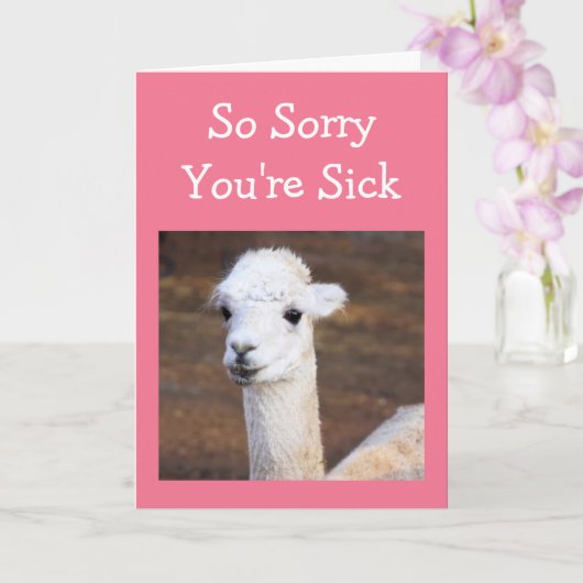 Carte Cute Sweet Llama Get Well Card (Orchidée)