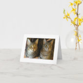 Carte Cute Tabby Chats Joyeux Anniversaire (Fleur jaune)