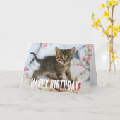 Carte Cute Tabby Kitten À L'Air Surpris (Fleur jaune)