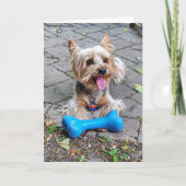Carte Cute Terrier (Devant)