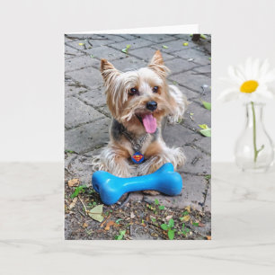 Carte Cute Terrier