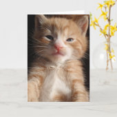 Carte Cuteness Kitten (Fleur jaune)