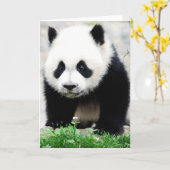 Carte Cutest Baby Animals | Baby Panda Bear (Fleur jaune)