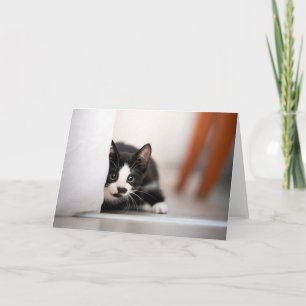 Carte Cutest Baby Animals Black & White Kitten