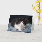 Carte Cutest Baby Animals | Fluffy B&W Kitten (Fleur jaune)