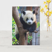 Carte Cutest Baby Animals | Giant Panda Cub (Fleur jaune)