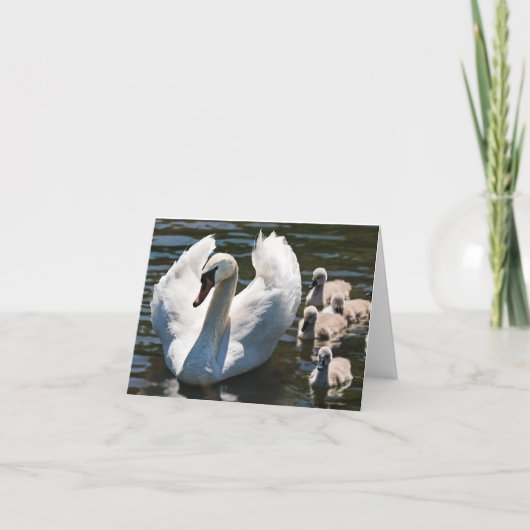 Carte Cygne (Devant)