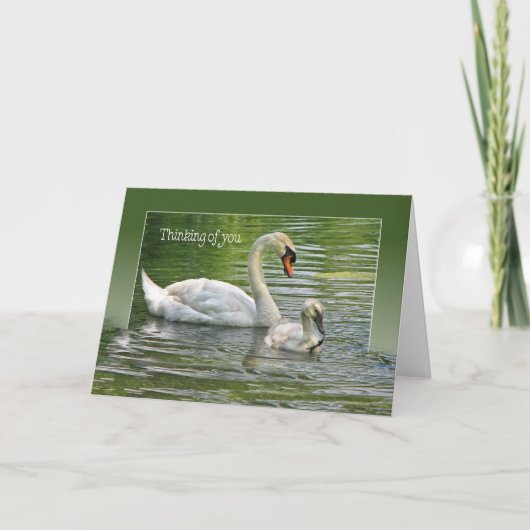 Carte cygne avec cygnet pour penser à vous (Devant)