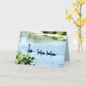 Carte Cygne avec cygnets sur la rivière (Fleur jaune)