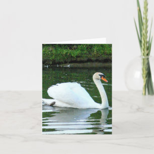 Carte Cygne blanc/ birge "You Exude Gracité & Beauté"