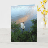 Carte Cygne de coucher du soleil (Fleur jaune)