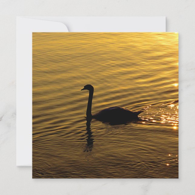 Carte Cygne d'or (Devant)
