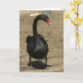 Carte Cygne noir (Fleur jaune)