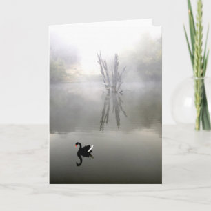 Carte "Cygne noir avec plume blanche"