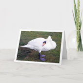 Carte Cygne sur herbe (Devant)