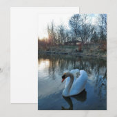 Carte Cygne sur le lac au coucher du soleil (Devant / Derrière)