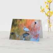 Carte Cygne timide (Fleur jaune)