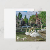 Carte Cygnes blancs à Bruges (Devant / Derrière)