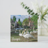 Carte Cygnes blancs à Bruges (Debout devant)