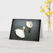 Carte Cygnes blancs Eau noire (Fleur jaune)