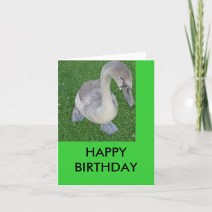 Carte cygnets sur terre, JOYEUX ANNIVERSAIRE