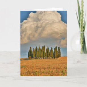 Carte Cyprès de Toscane